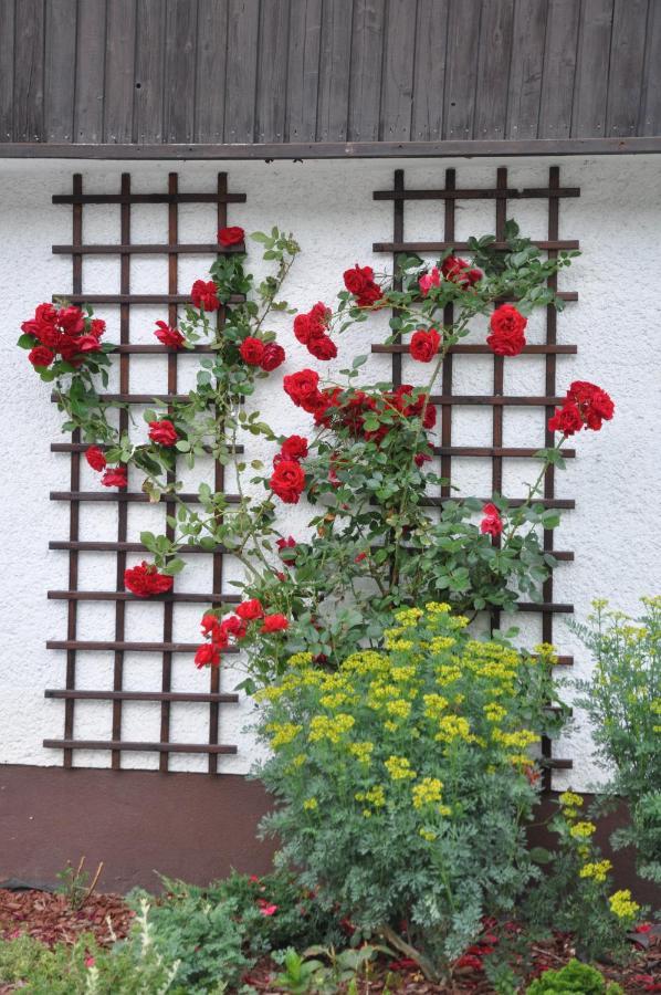Vrtnarjeva Hisa, The Gardener'S Cottage 라도블리차 외부 사진